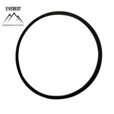 TĚSNĚNÍ BRIGGS&STRATTON 693981 EVEREST