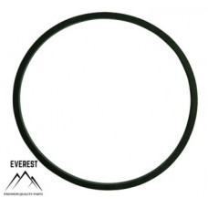 TĚSNĚNÍ BRIGGS&STRATTON 281165S EVEREST