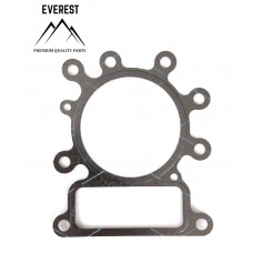 TĚSNĚNÍ HLAVY BRIGGS&STRATTON 10KM-14KM OHV AVS EVEREST