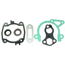 SADA TĚSNĚNÍ STIHL TS410